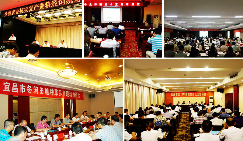 湖北宜昌畜牧獸醫局 (1).jpg